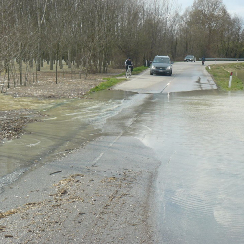 Piena del Sile 16/03/11 n. 14 / 61800