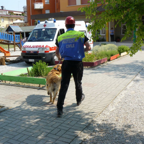 Prova evacuazione 20/05 n. 3 / 66229