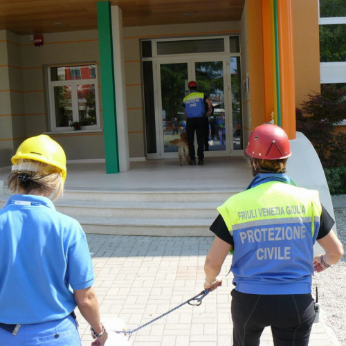Prova evacuazione 20/05 n. 4 / 66230