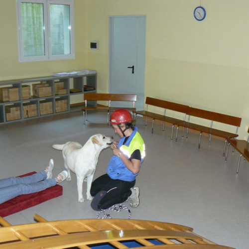 Prova evacuazione 20/05 n. 9 / 66235