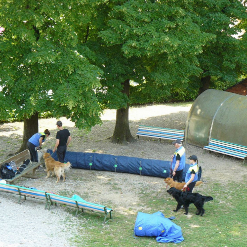 Prova evacuazione 20/05 n. 33 / 66259