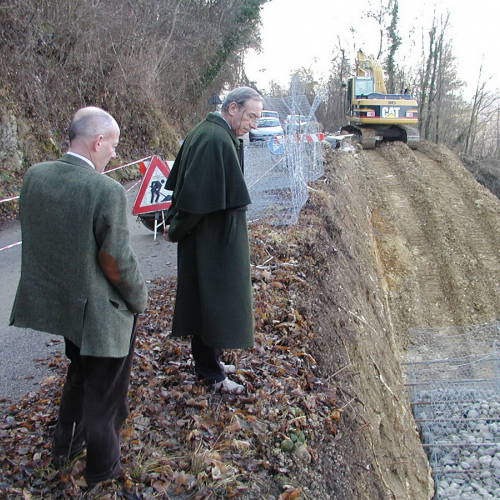 Il collega Cojutti in servizio n. 2 / 87333