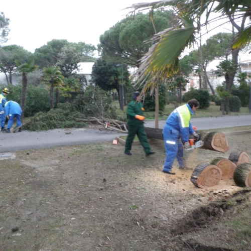 Intervento Grado foto n.1 / 112773