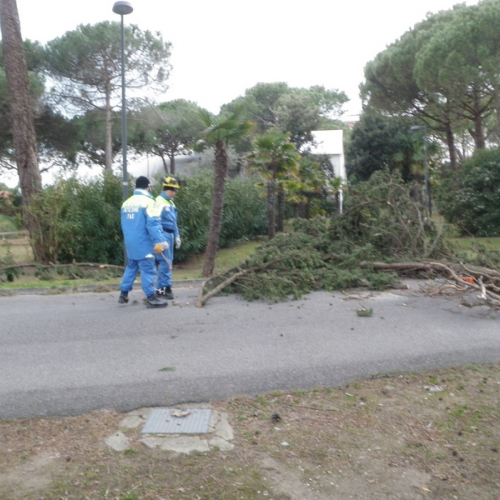 Intervento Grado foto n.2 / 112774