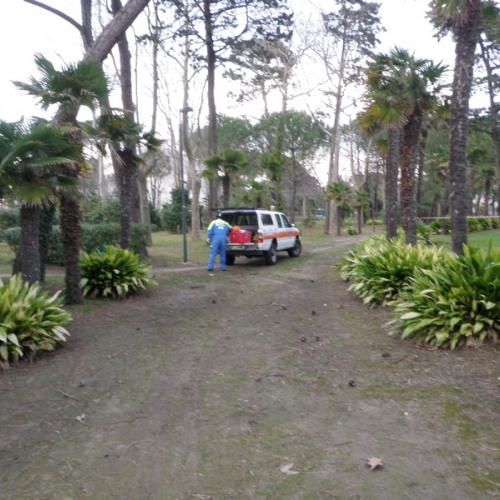 Intervento Grado foto n.3 / 112775