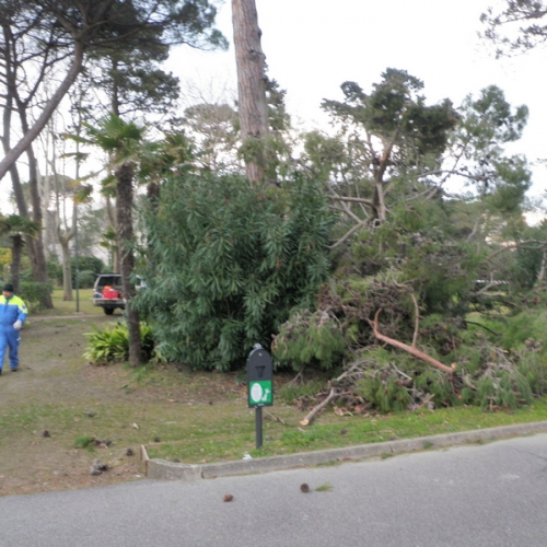 Intervento Grado foto n.4 / 112776