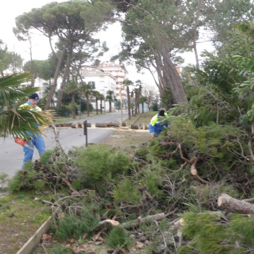 Intervento Grado foto n.6 / 112778