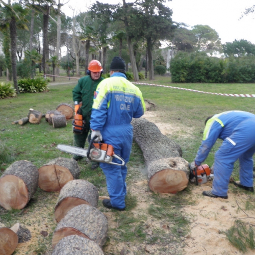 Intervento Grado foto n.7 / 112779