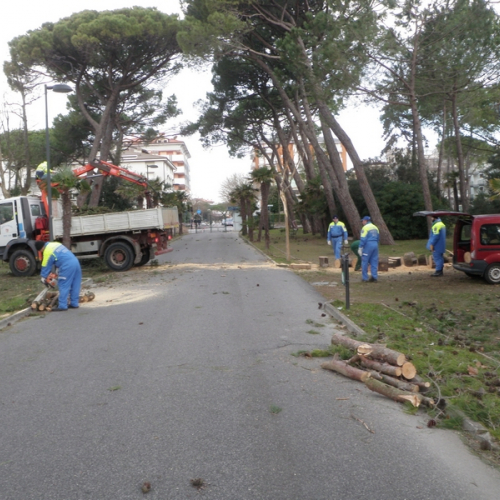 Intervento Grado foto n.8 / 112780