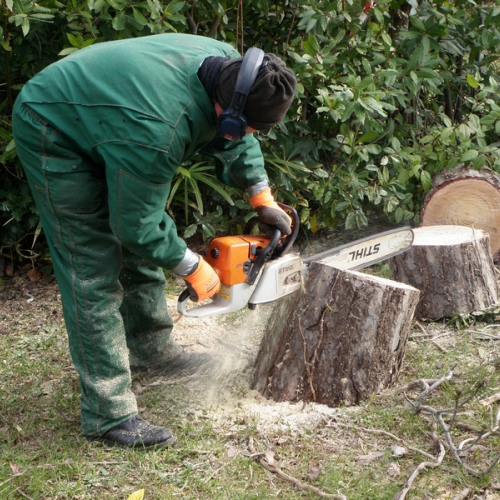 Intervento Grado foto n.10 / 112782