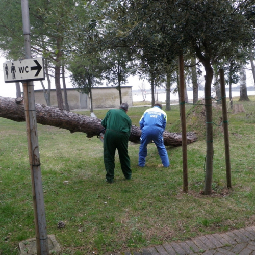 Intervento Barbana foto n.5 / 112766