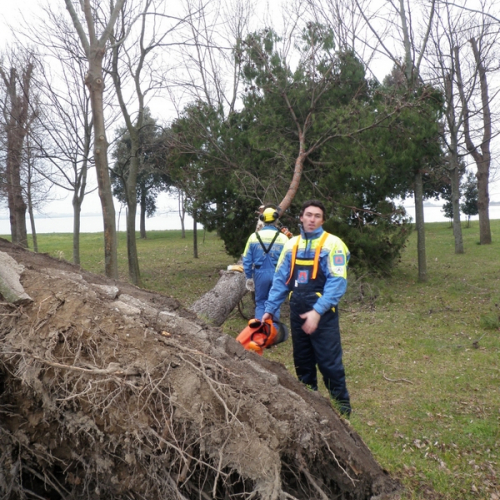 Intervento Barbana foto n.7 / 112768