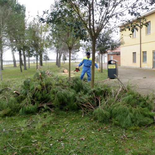 Intervento Barbana foto n.11 / 112772