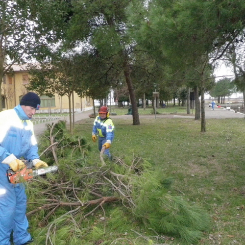 Intervento Barbana foto n.9 / 112770