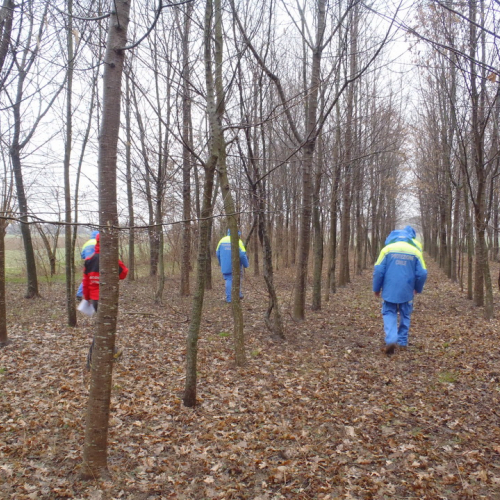 Corso ricerca persona disperse 24/02/13 n. 21 / 91139