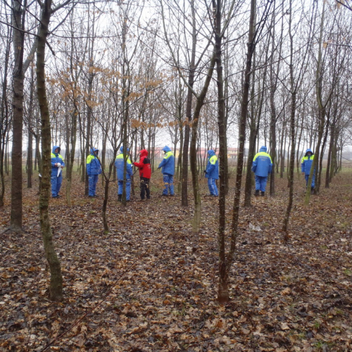 Corso ricerca persona disperse 24/02/13 n. 22 / 91140