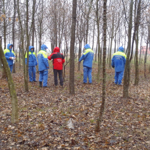 Corso ricerca persona disperse 24/02/13 n. 23 / 91141