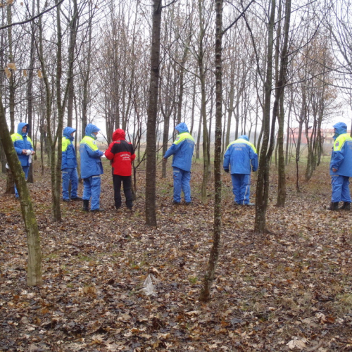 Corso ricerca persona disperse 24/02/13 n. 24 / 91142