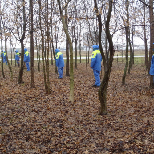 Corso ricerca persona disperse 24/02/13 n. 25 / 91143