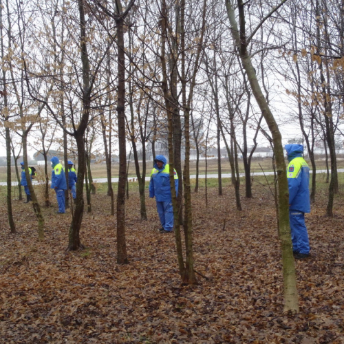 Corso ricerca persona disperse 24/02/13 n. 26 / 91144