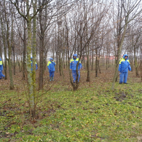 Corso ricerca persona disperse 24/02/13 n. 31 / 91149