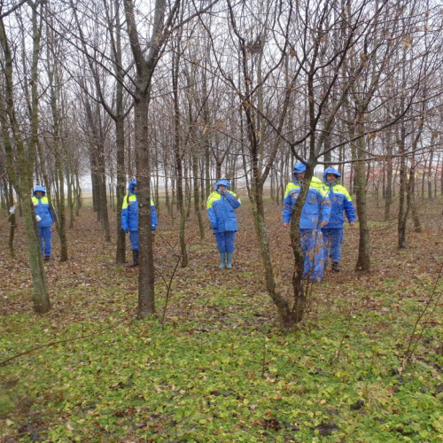 Corso ricerca persona disperse 24/02/13 n. 32 / 91150