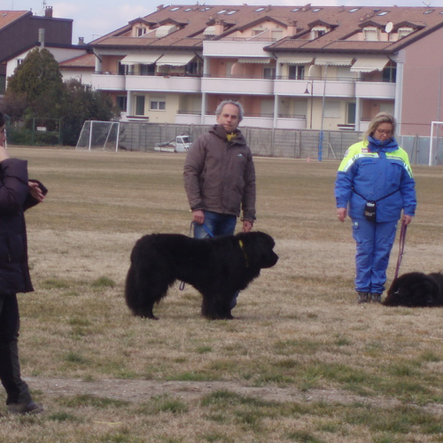 Addestramento 26/02/12 n. 2 / 75898