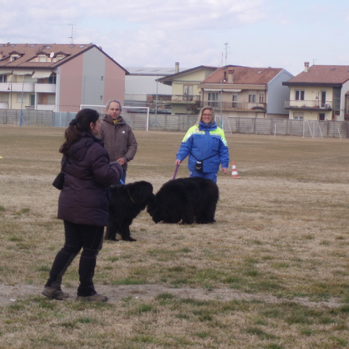 Addestramento 26/02/12 n. 4 / 75900