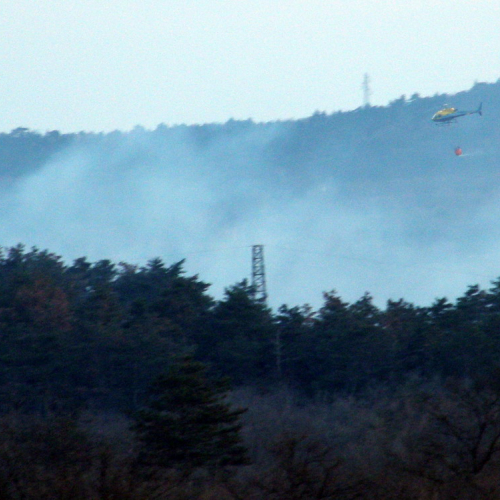Incendio boschivo Monrupino-Trieste n. 5 / 76966