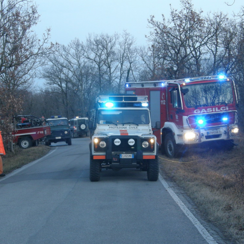 Incendio boschivo Monrupino-Trieste n. 10 / 76971