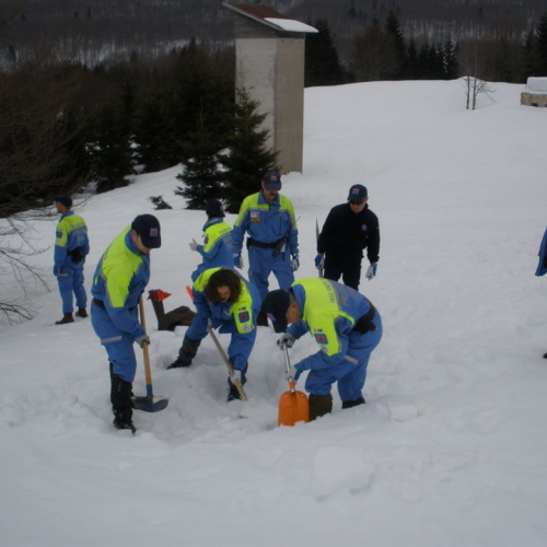 Attivit‡ addestrativa 14/03 n. 9 / 36049