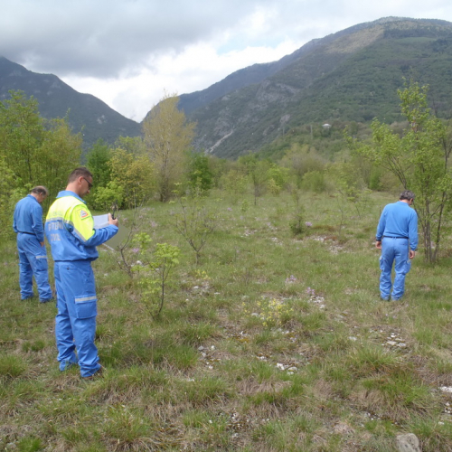 Corso ricerca persone disperse n. 23 / 93949
