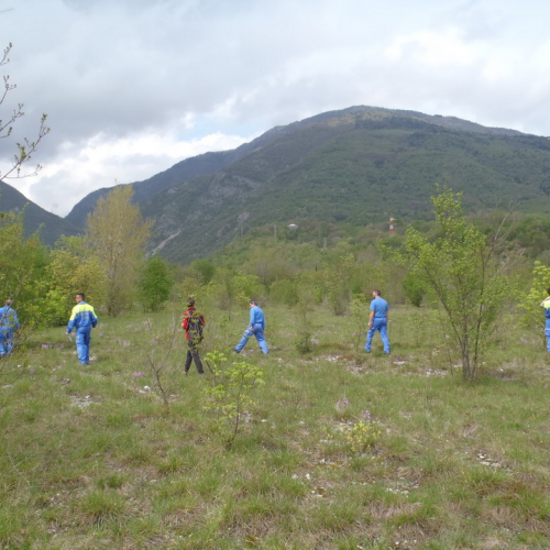 Corso ricerca persone disperse n. 25 / 93951