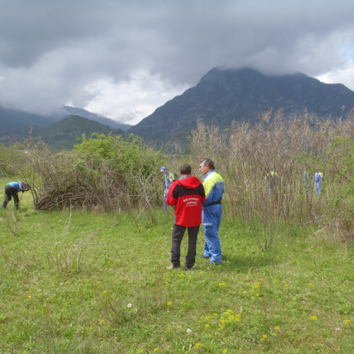 Corso ricerca persone disperse n. 37 / 93963
