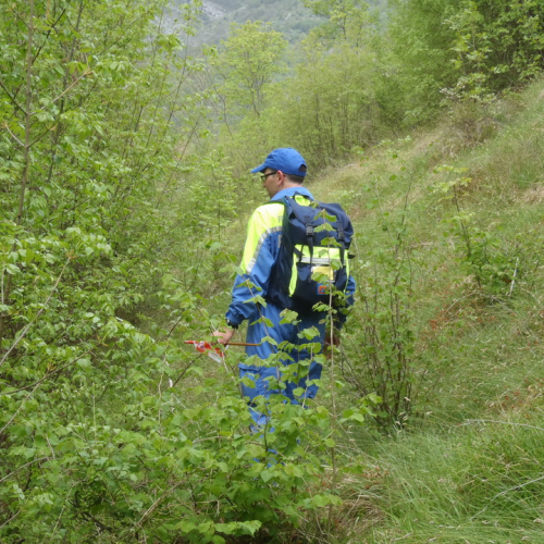 Corso ricerca persone disperse n. 48 / 93974