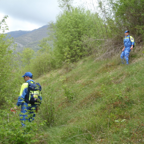 Corso ricerca persone disperse n. 49 / 93975