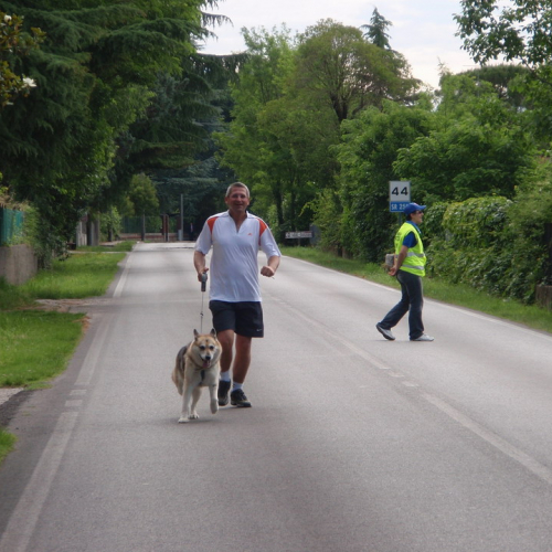 Attivit‡ supporto 02/06 n. 4 / 52411