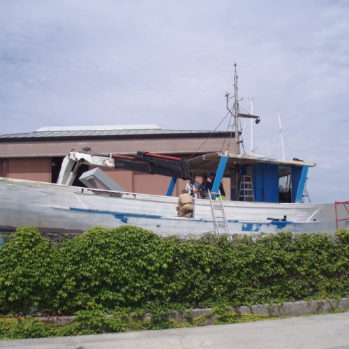 Stella del mare n. 1 / 67255