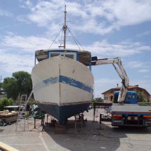 Stella del mare n. 2 / 67256
