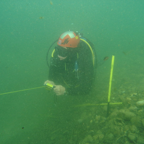 Ricerca persone disperse in acqua n. 3 / 27142