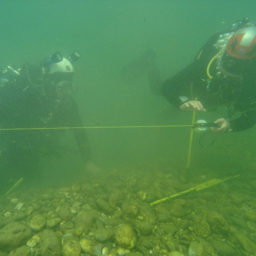 Ricerca persone disperse in acqua n. 5 / 27144
