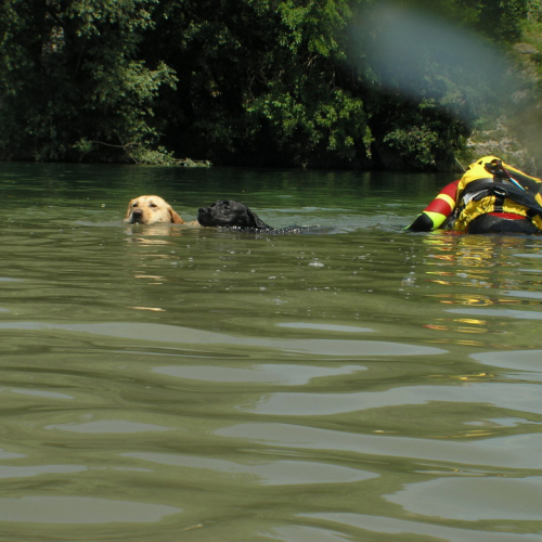 Ricerca persone disperse in acqua n. 12 / 27151