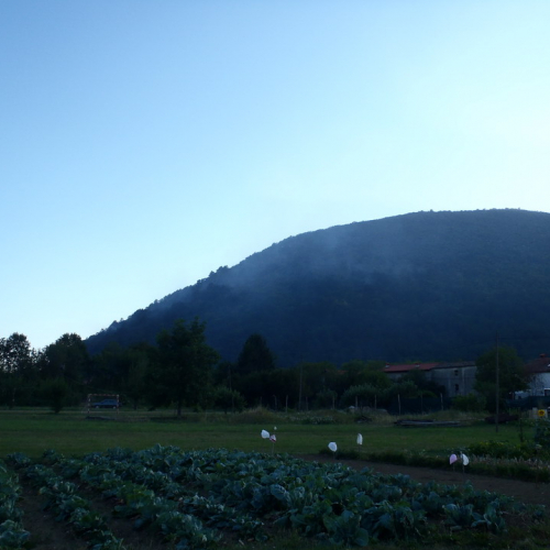 Incendio Monte Santo n. 14 / 84828