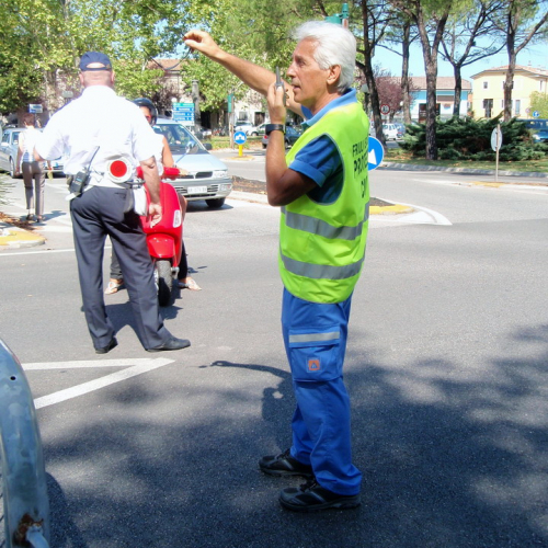 Attivit‡ supporto 15/08 n. 5 / 42272