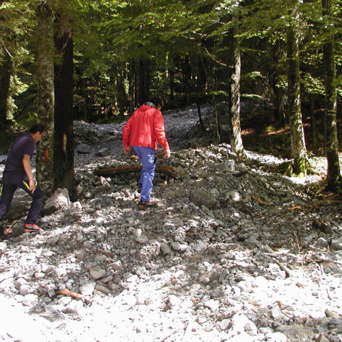 Val Canale 16/08 n. 32 / 28563