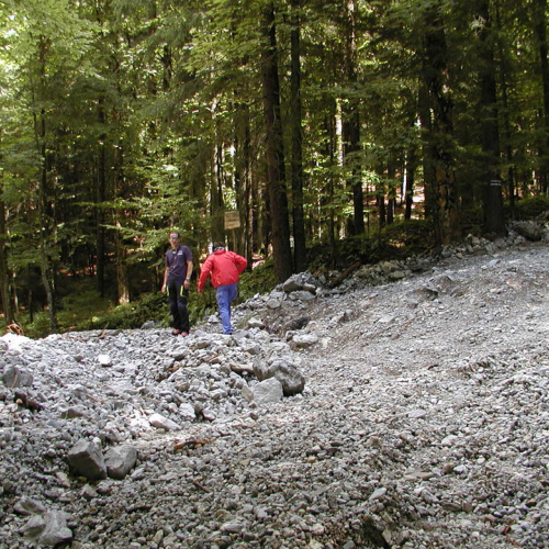 Val Canale 16/08 n. 35 / 28566