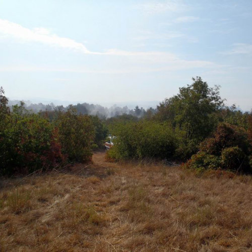 Incendio Visogliano n. 3 / 85209