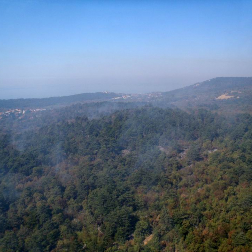 Incendio Visogliano n. 5 / 85211