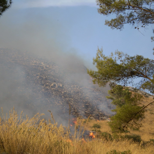 foto 11-31/08 n. 14 / 16322