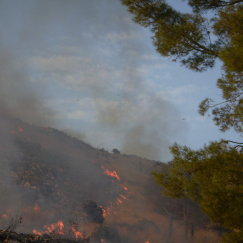 foto 11-31/08 n. 16 / 16324